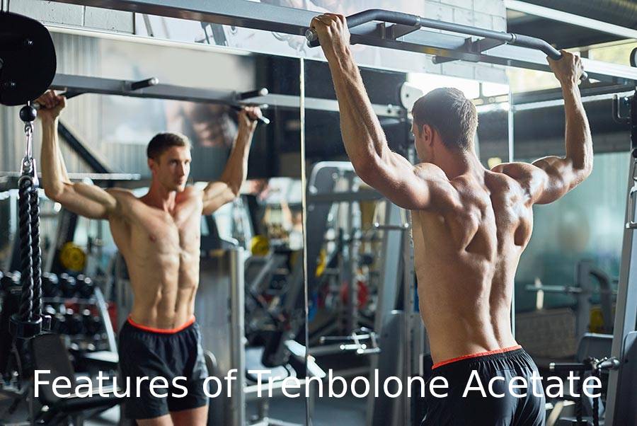 Features of Trenbolone Acetate