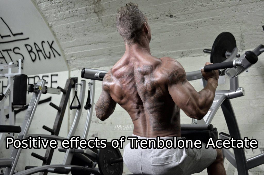 Positive effects of Trenbolone Acetate
