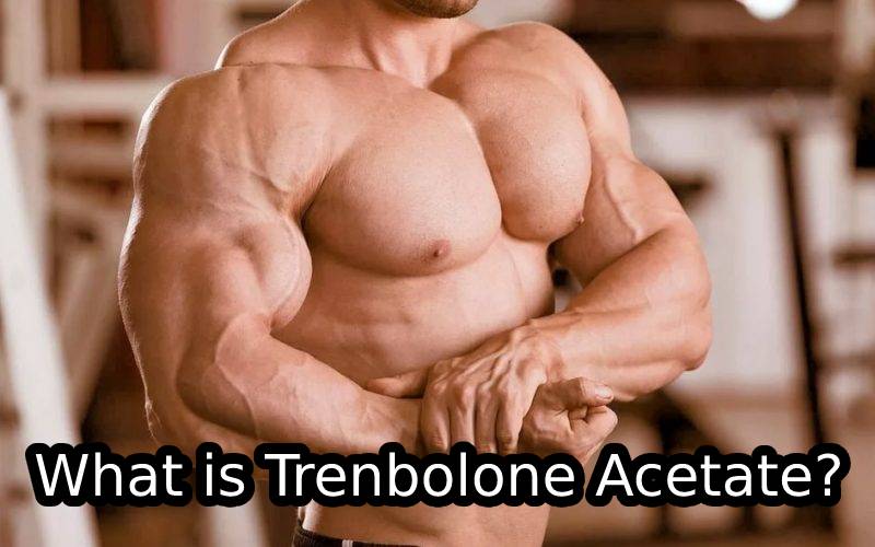 What is Trenbolone Acetate